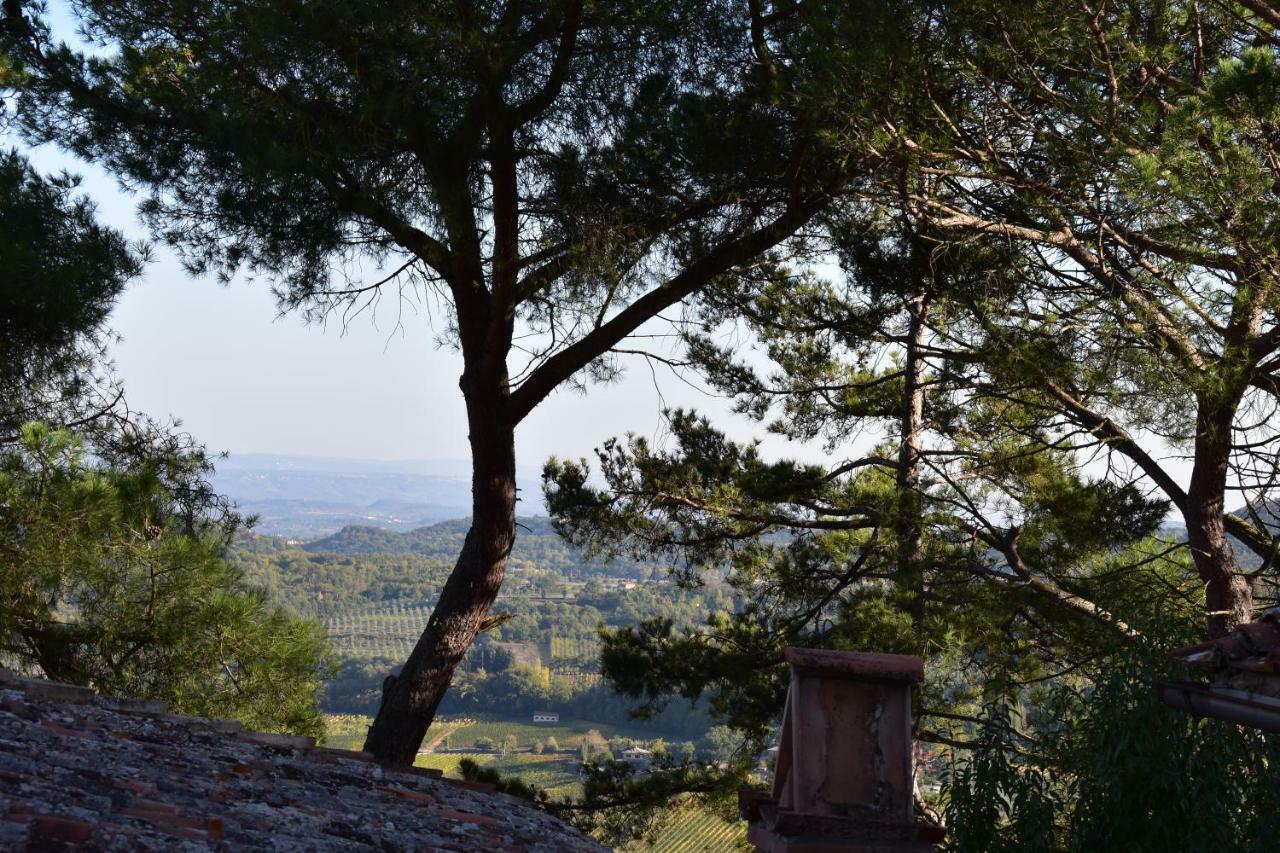 Il Buonumore